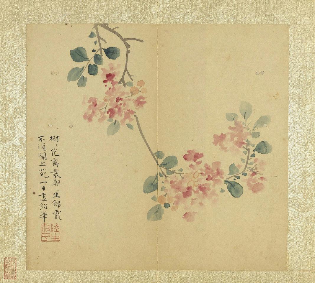 陆治《花卉写生册》：笔墨间的草木清欢明·陆治的《花卉写生册》静静躺在台北故