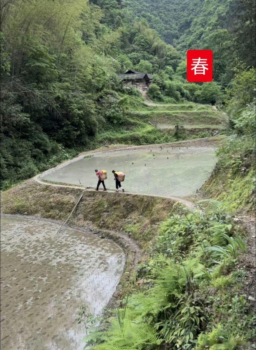 湖南，一个荒村的四季。生存条件这么差，为啥不搬出去？