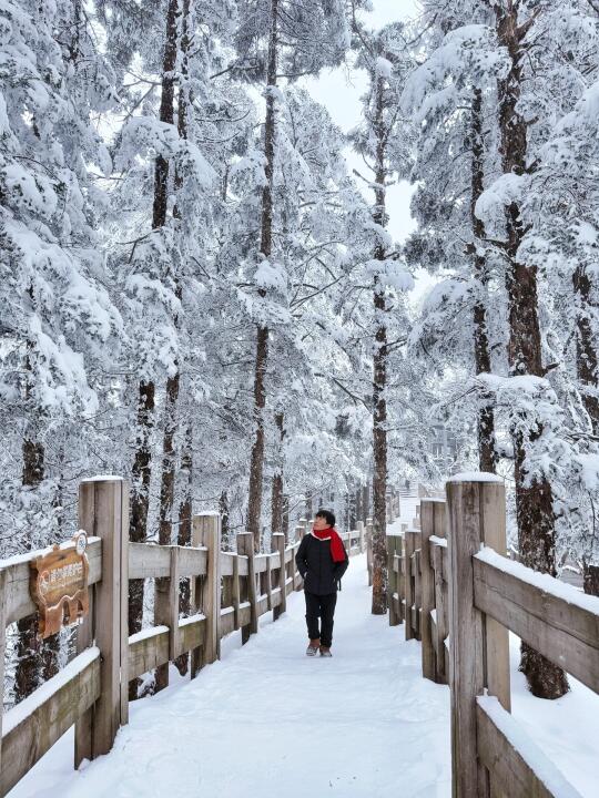 被成都的雪景震撼到了❗️错峰一日游攻略