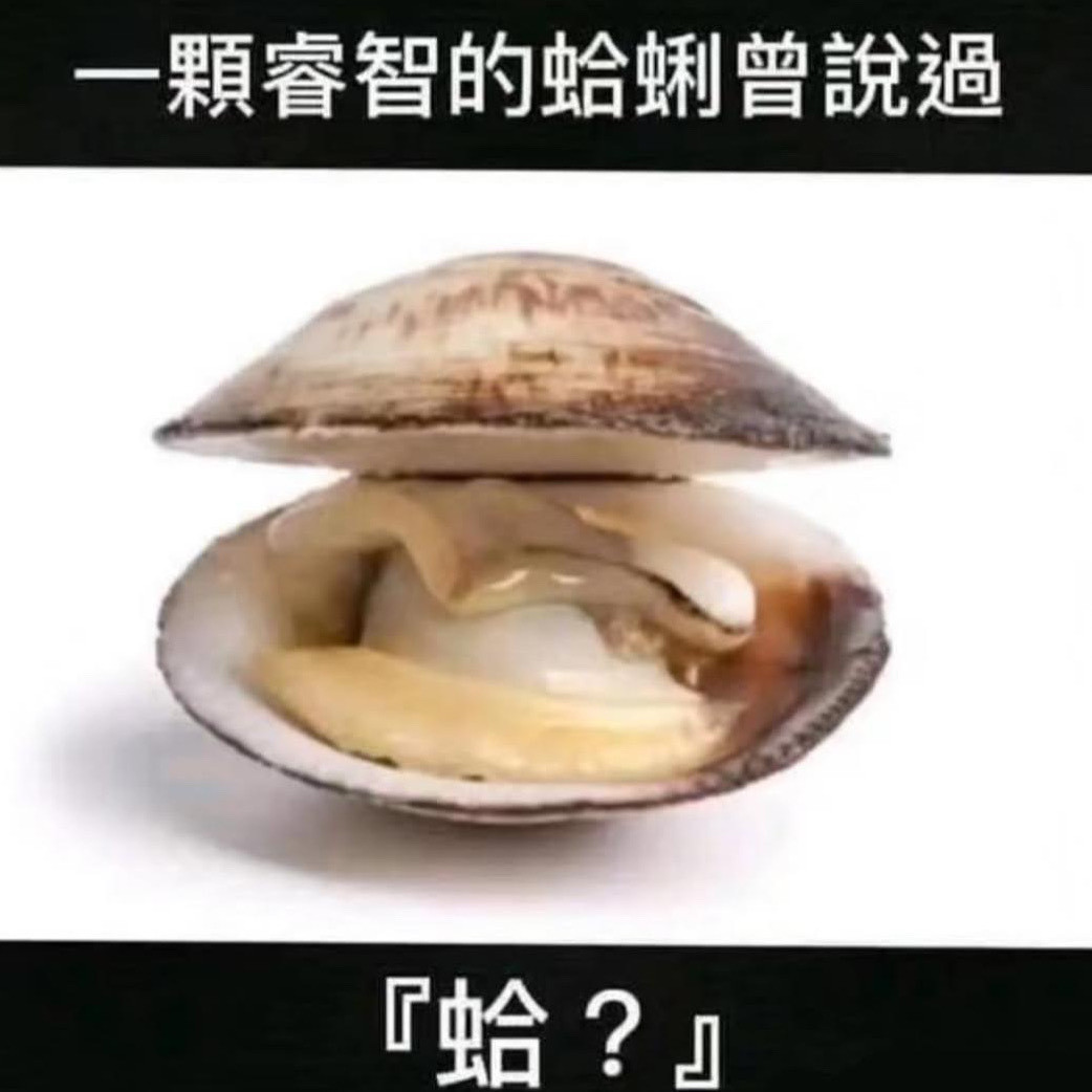 蛤？memes