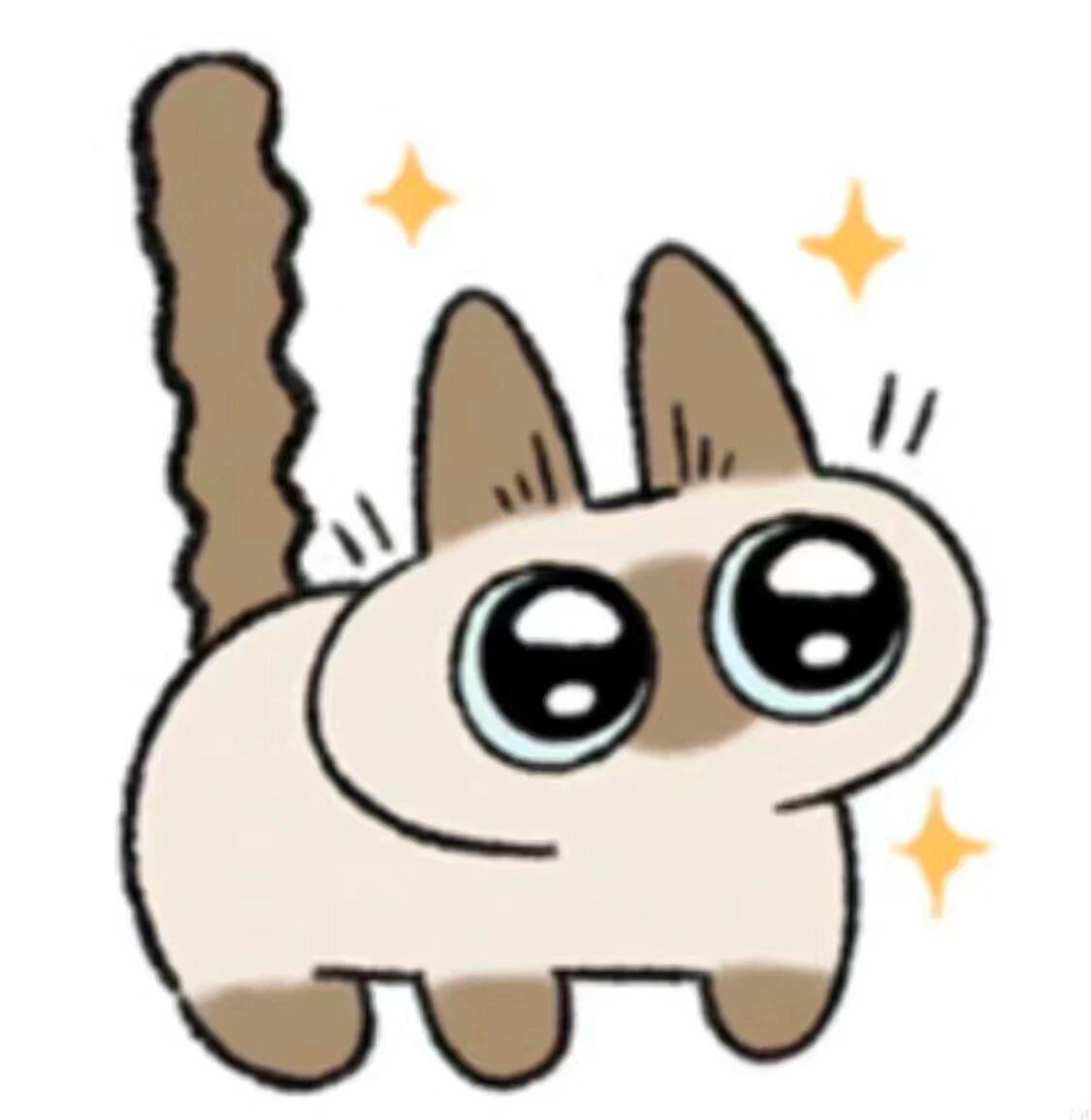 晚安小豆泥……在喵星继续幸福快乐吧宝宝💧🤲暹罗猫小豆泥去世​​​