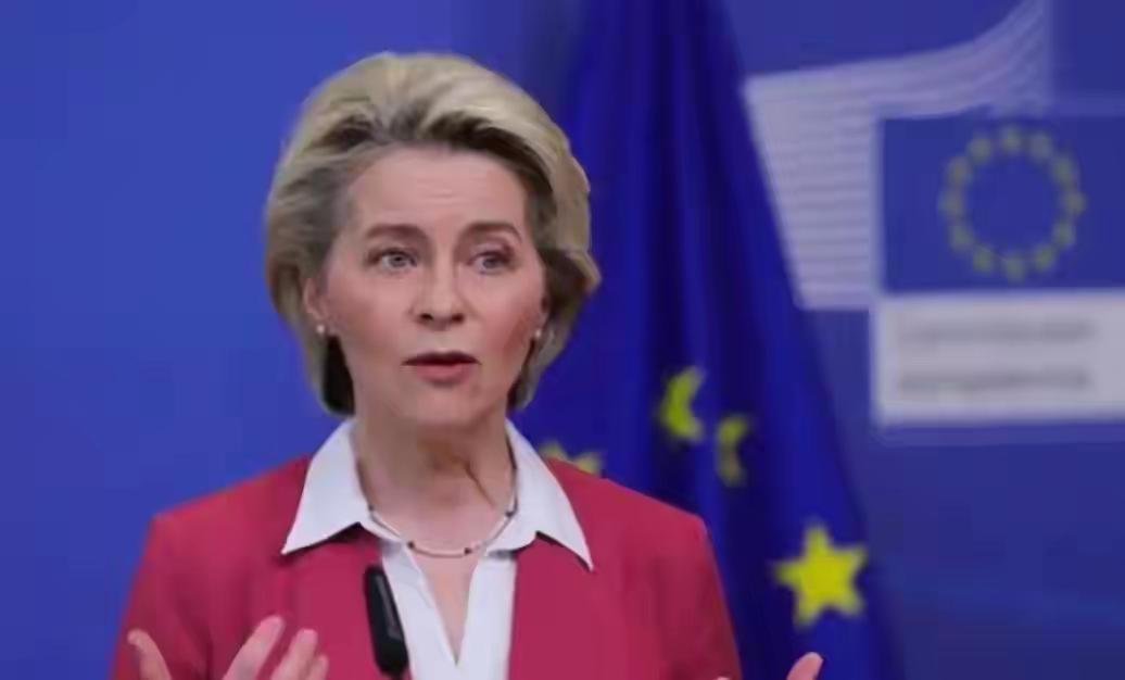 欧盟把立陶宛给卖了，现在他需要单独承受中国的怒火。2025年12月1日，世贸