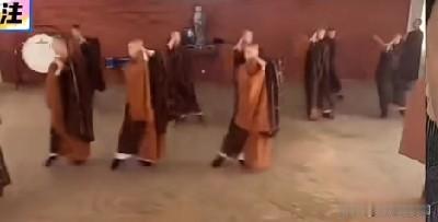 看到这个，我忽然动了出家的念头。我在这边的寺庙，她在那边的尼姑庵。我们经常交