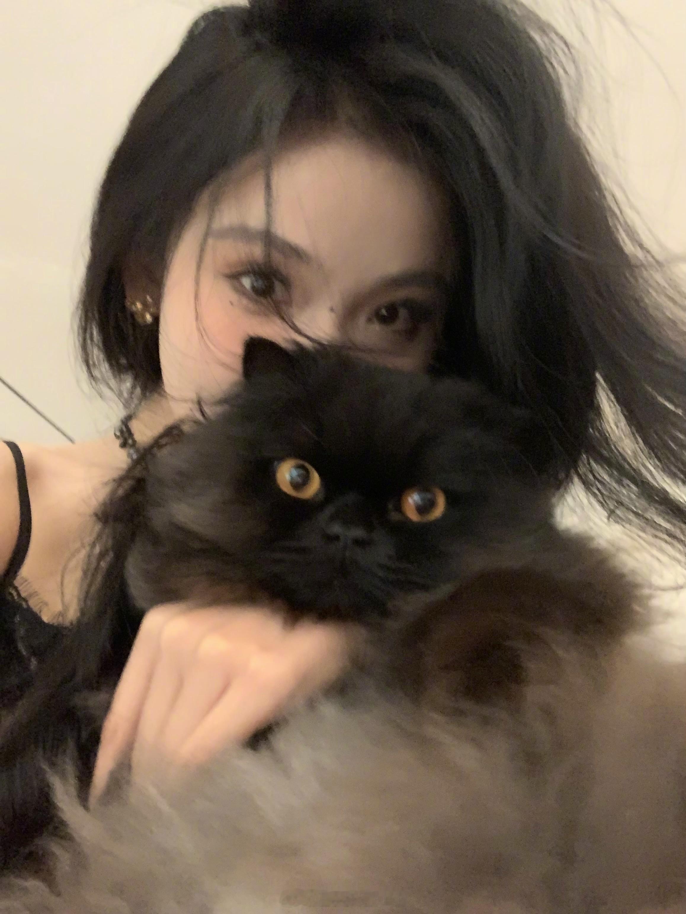 跟我家崽崽们合照咯~世界上怎么会有这么可爱的猫咪呀妈妈爱死你们啦！！！猫咪plo