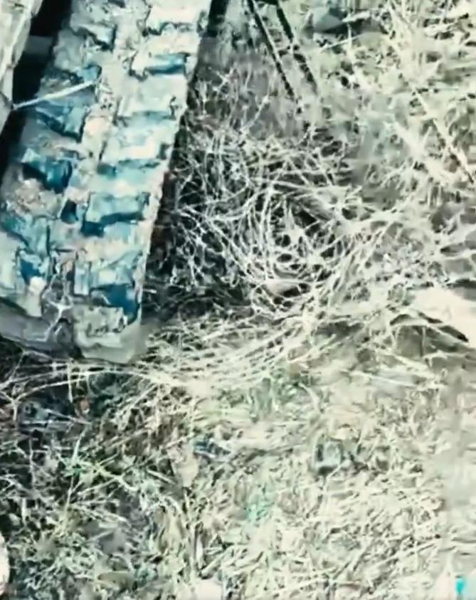 照片显示，乌克兰无人地面车辆（UGV）被覆盖战场的光纤电缆和“普鲁坦卡”工程电缆