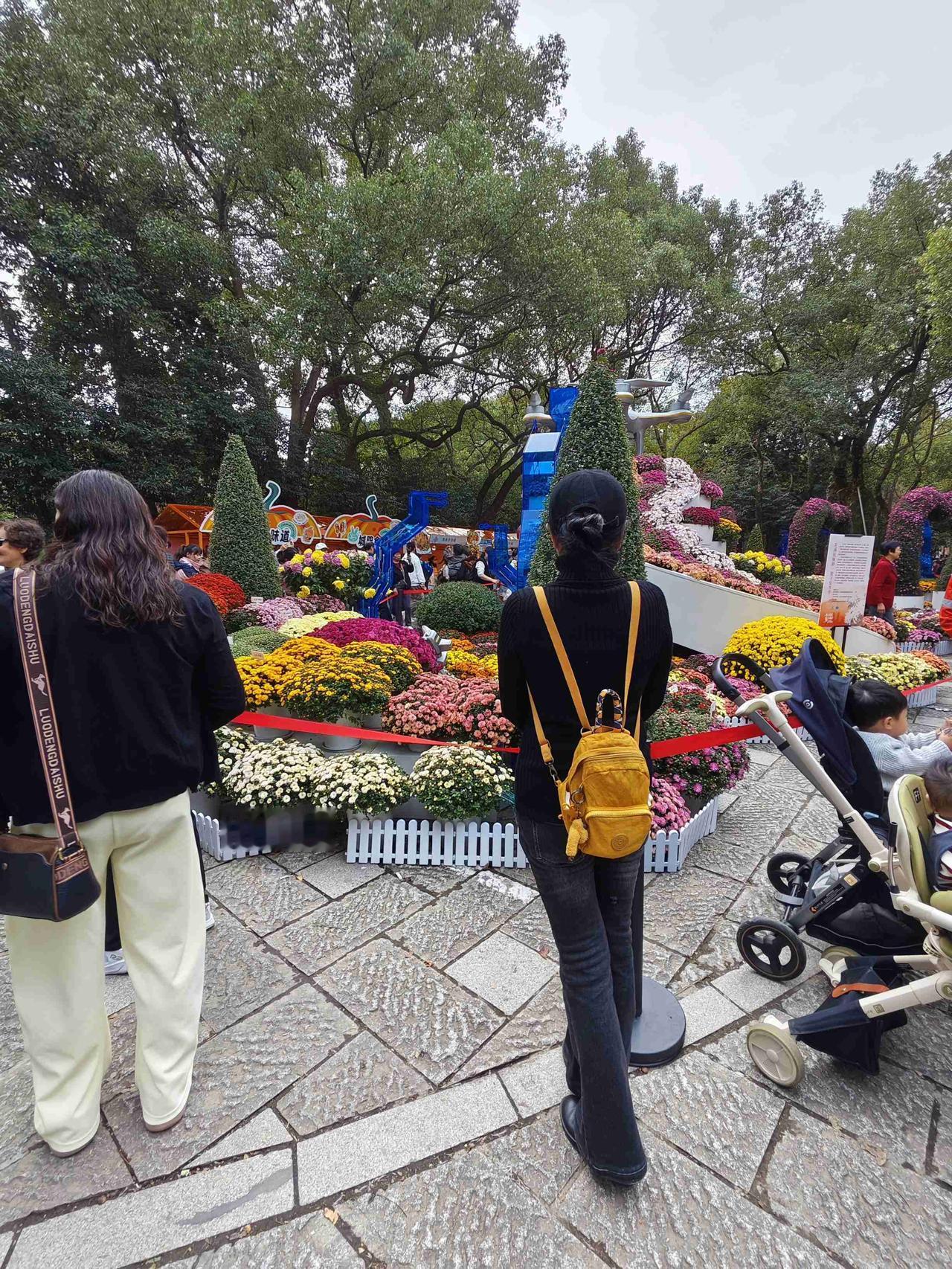 我的今日状态：😁轻松愉快我这里的天气：☁️阴天每年看菊花展已经成了杭州人