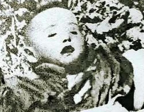 1937年，一女人抱着孩子躲在芦苇荡，不料被日军发现了，顿时扑向她，女人抵死不从