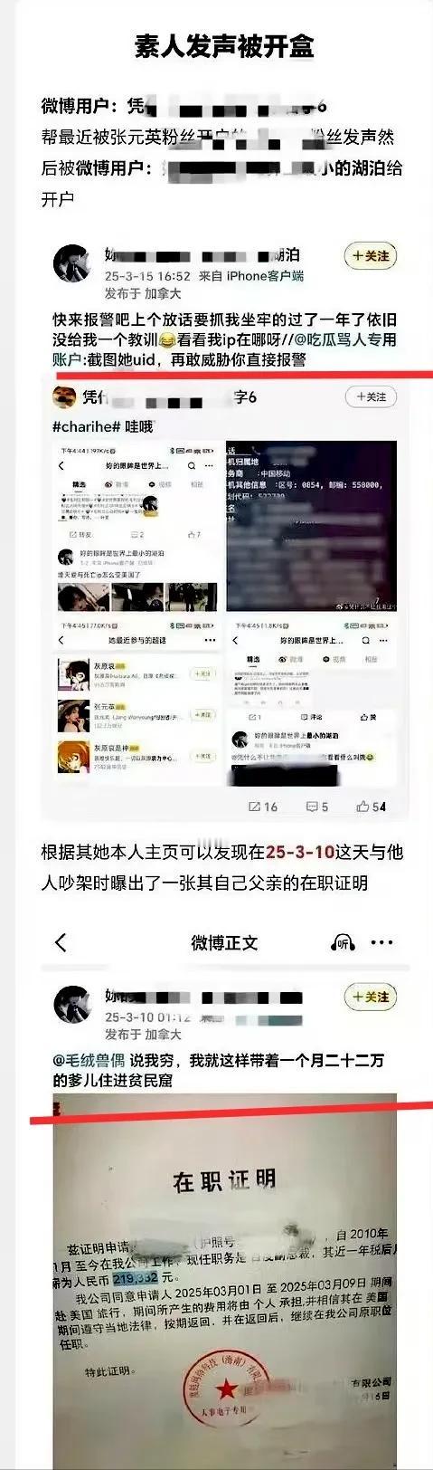 一个IP在加拿大的13岁小女孩，公布了多个普通人的隐私信息，并网暴了一名孕妇。身