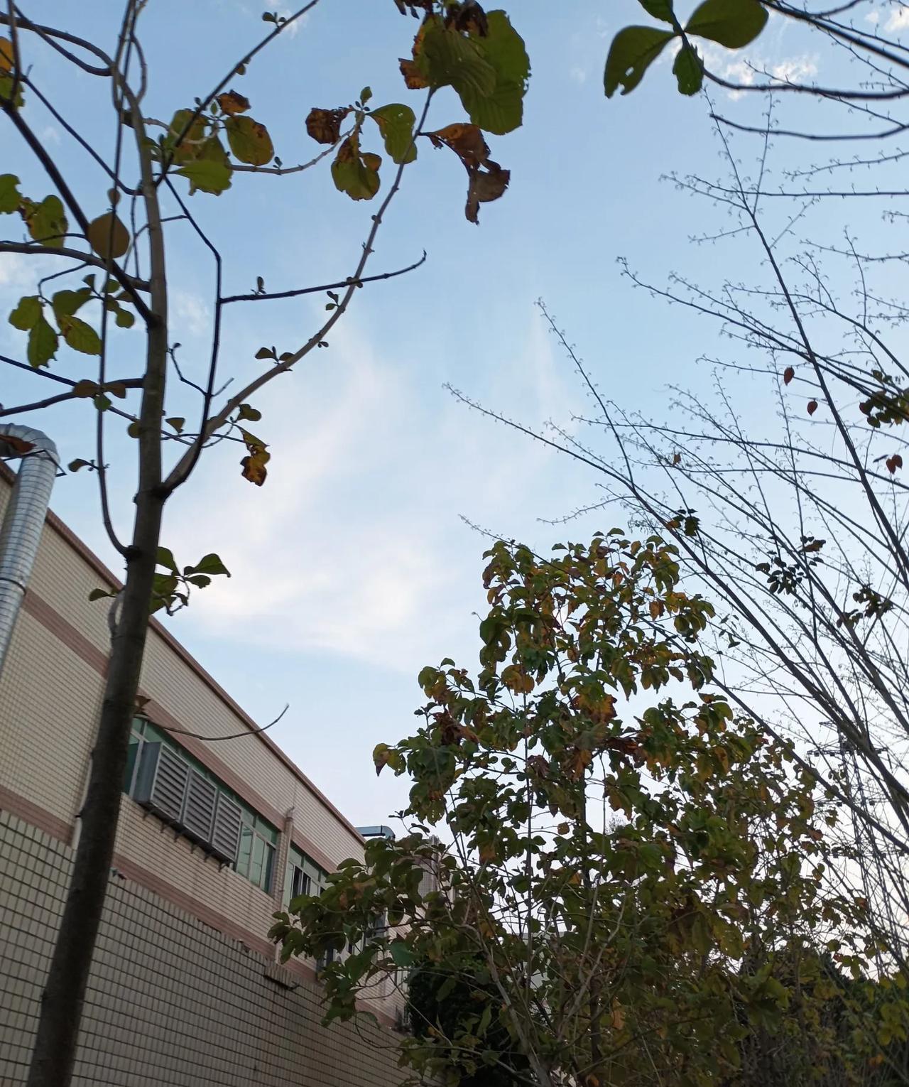 好悲催的三大生肖生肖这东西，说它影响命运有点玄乎。就拿生肖鼠来说，都说它机智灵