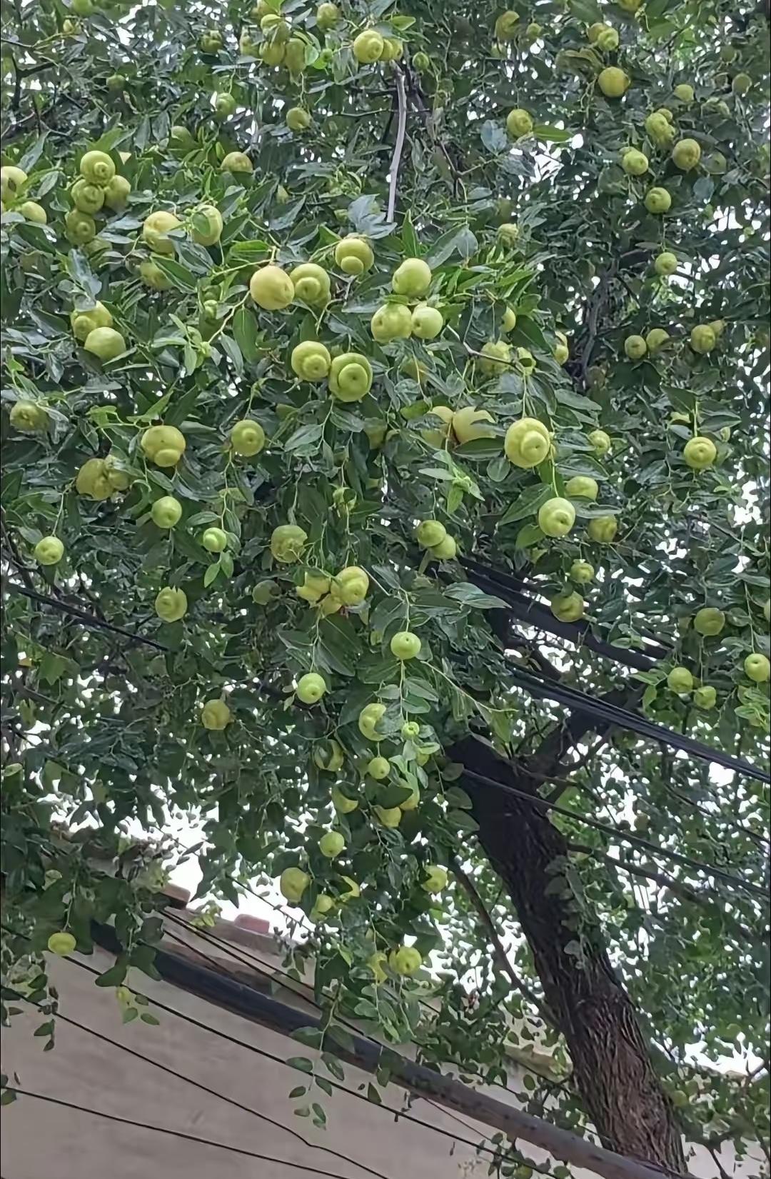 当你身处人生低谷时，永远不要高估你和任何人的关系。现实就是这么直接——人