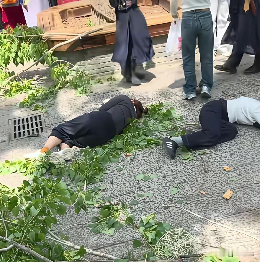 游玩途中突遇横祸！开封知名景区大树轰然倾倒，多名游客无辜受伤（个人观点仅供参