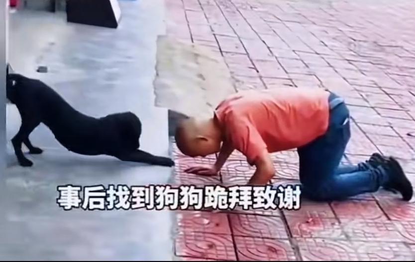 男子到河边钓鱼，12月16日报道，不慎落入水中，由于河水比较深，男子又不会游泳，