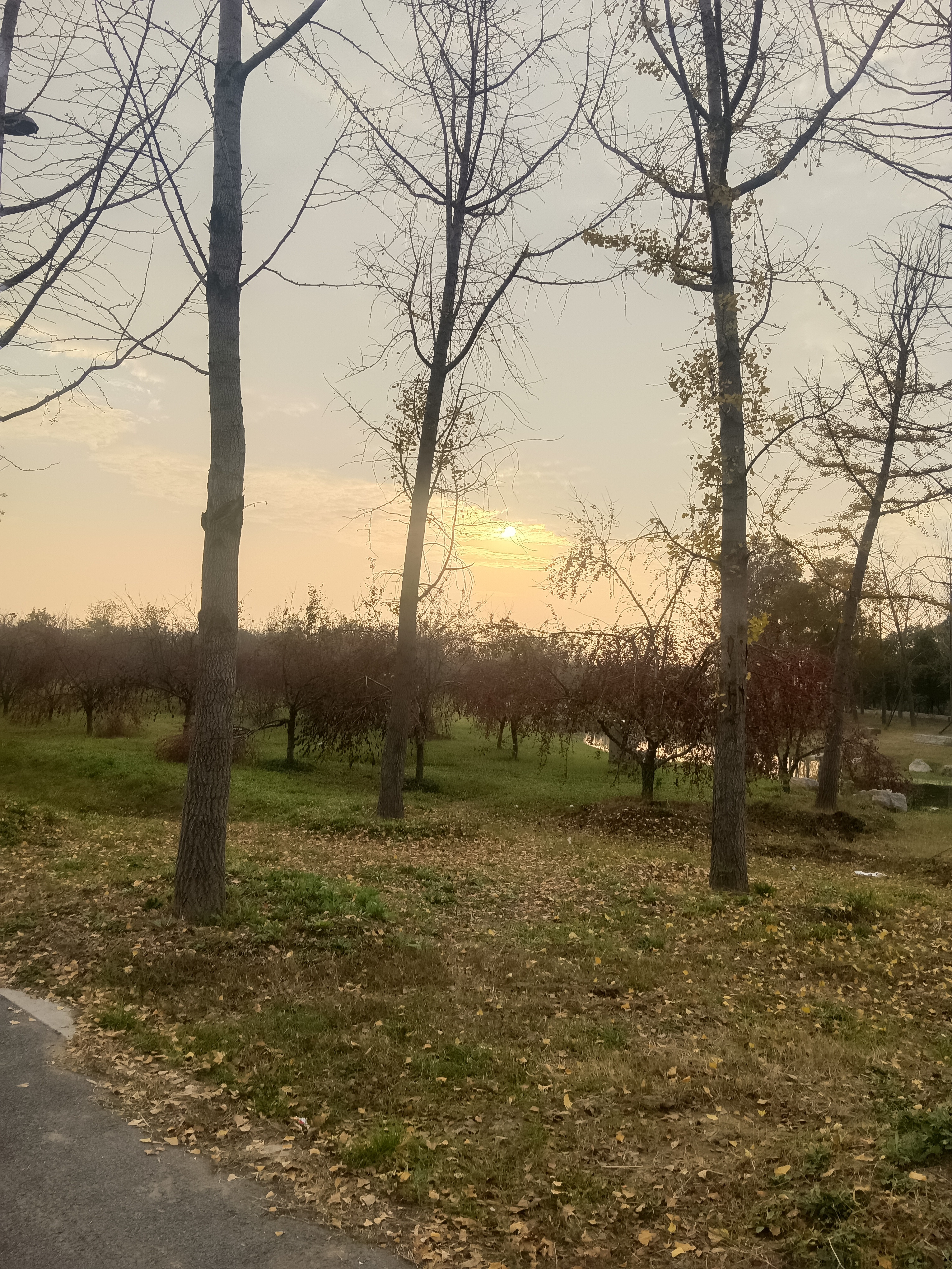 真正爱过的人分手后，往往会“断联”。他们用“保护性疏离”自我保护，表...