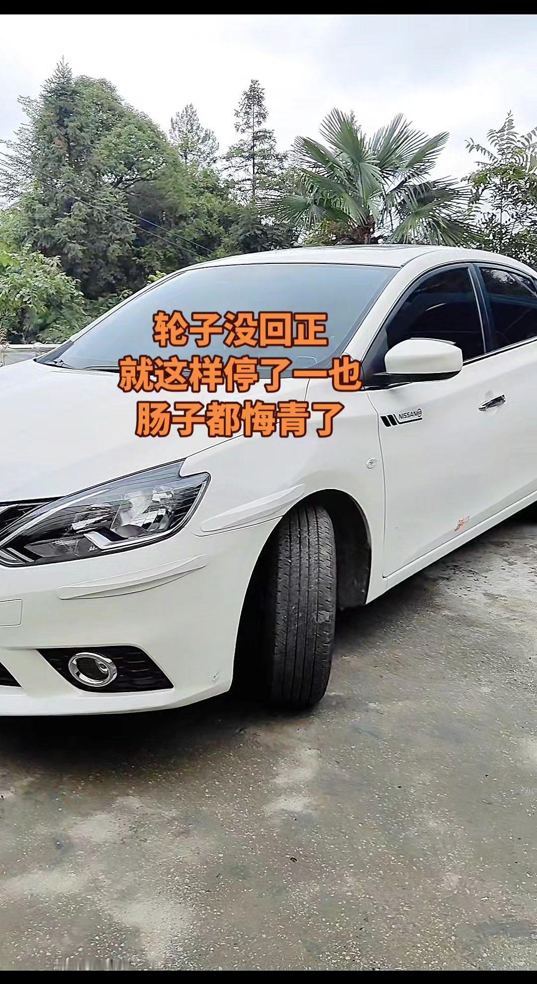 轮子没回正就这样停了一也肠子都悔青了