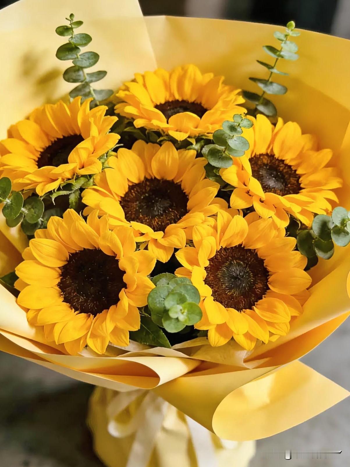 🌹情人节十二星座送花🌹（原创）情人节将至，不少人仍盲目送玫瑰，其实，按