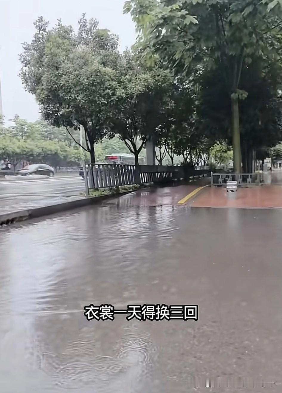 大家都说：西安的天气越来越像南方了！雨下的让人怀疑北方！[捂脸哭]我前两天面试了