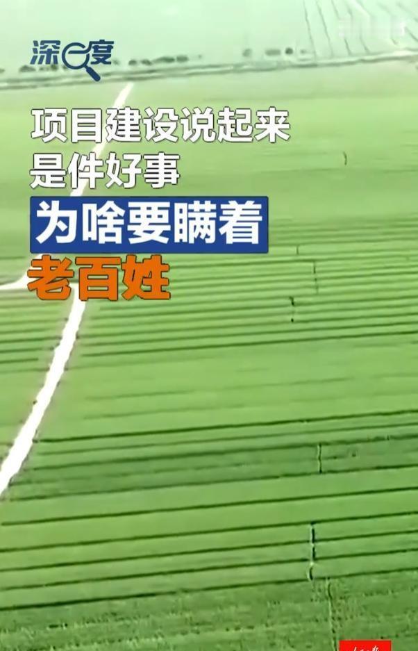 离了大谱！山东德州乐陵市，村民董强无意中发现，自家及周边五个村共计187亩农田早