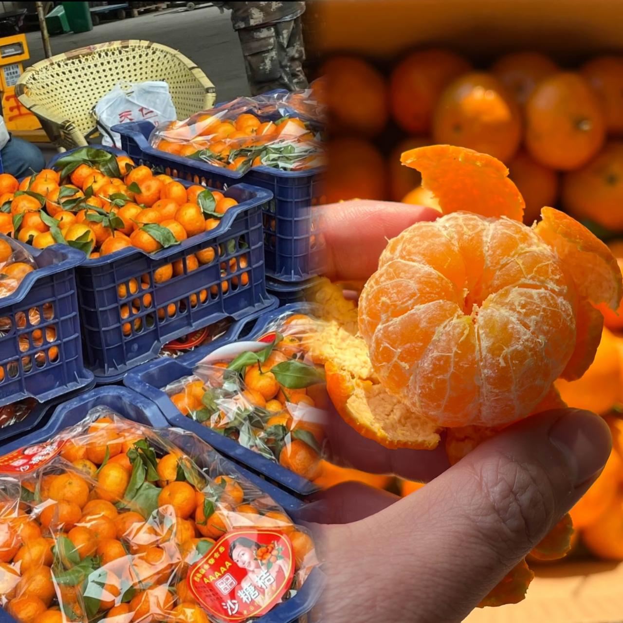 终于搞懂今年沙糖桔为啥卖不动啦！不是价格高，也不是大家不爱吃，而是味道实在