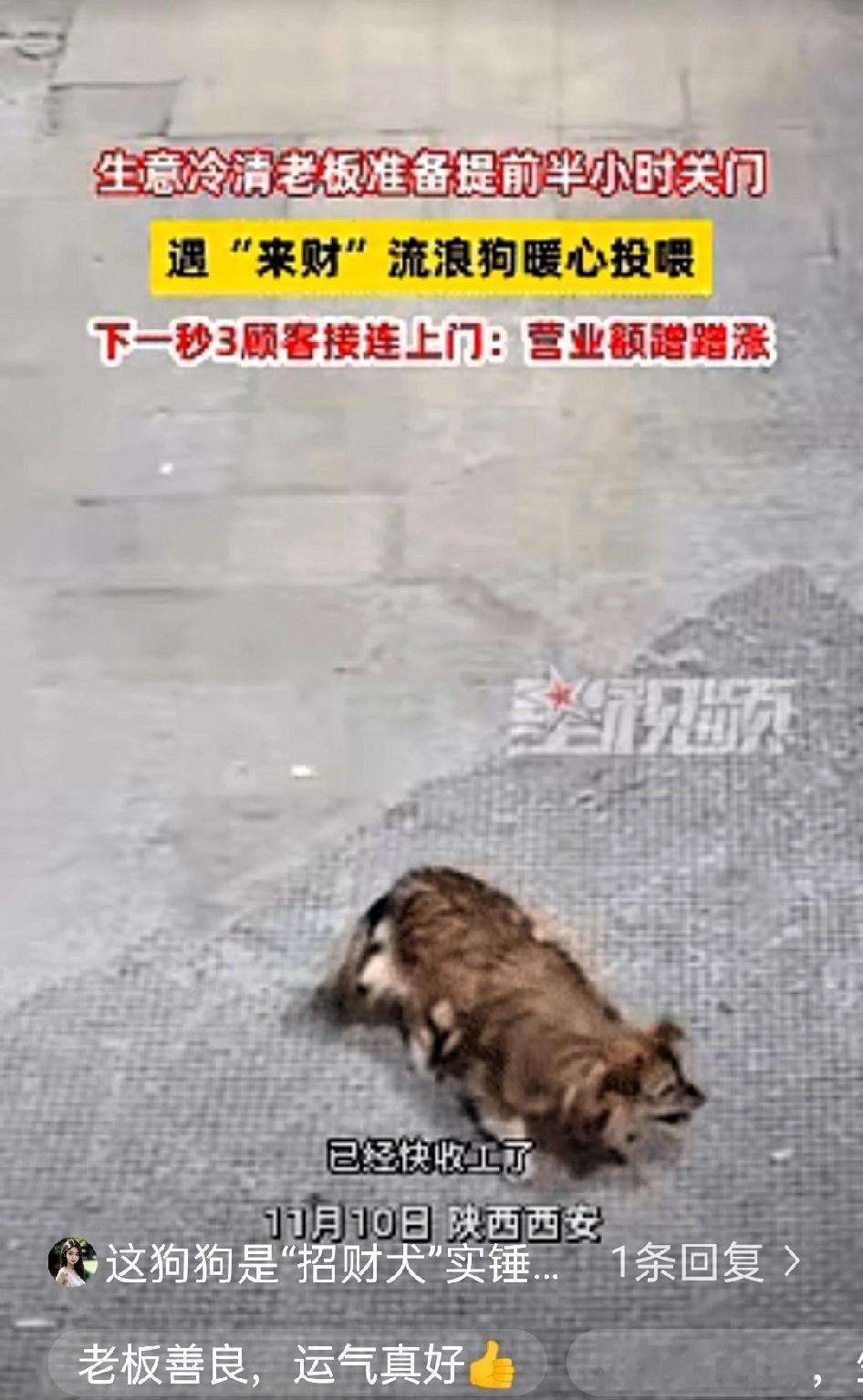 科学也解释不清了！近日陕西西安，老板看没有生意，就打算提前关门，关门时发现门口有