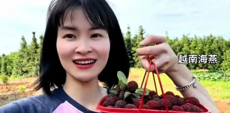 越南女孩怀孕了父母都不同意嫁到中国，为爱坚持以30000彩礼搞定。海燕出生在