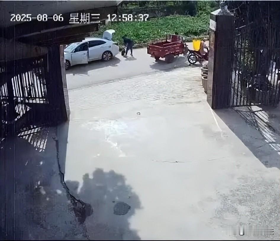 云南丽江，一大妈从程海湖买下一只二十多斤鳄龟，饲养了三十多年，它成了农家乐的“吉