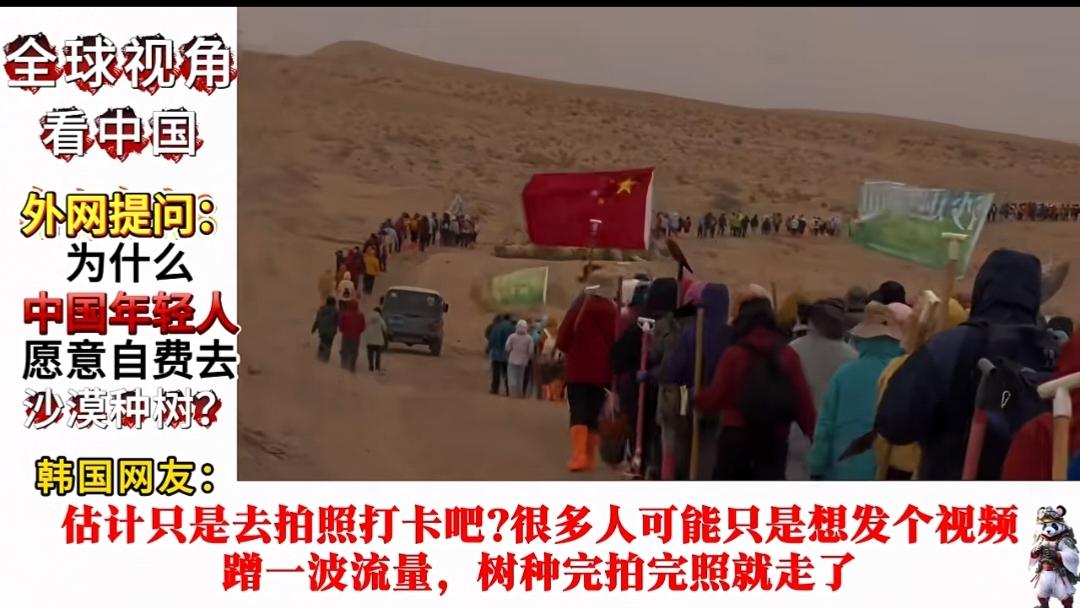 外国网友不明白为什么中国有那么多年轻人自愿去沙漠种树！中国人的爱国情怀是外国人
