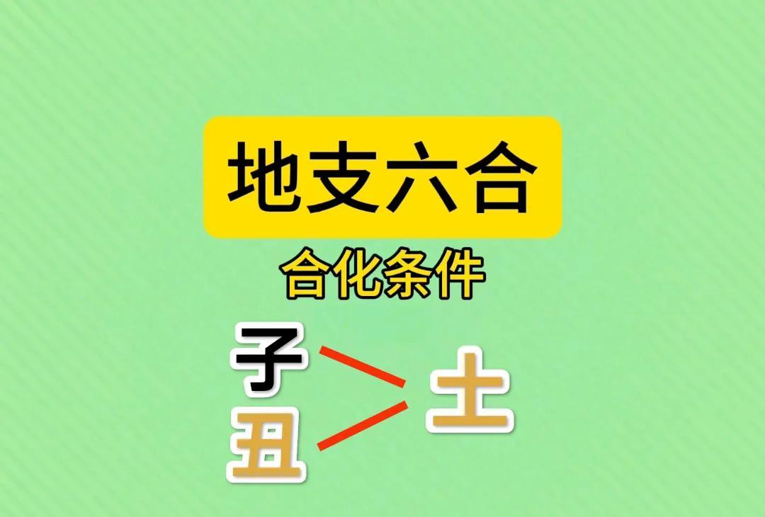 《地支六合一子丑合化土》地支六合是中国传统命理学中的重要概念，子丑合土是其中之