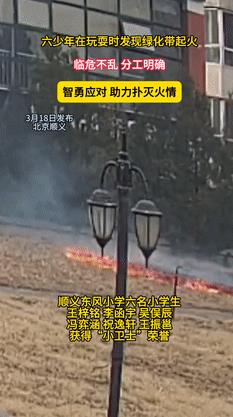 “这6个小学生火了！”北京，一小区绿化带失火，眼看大火就要失控！不料，6名小学生