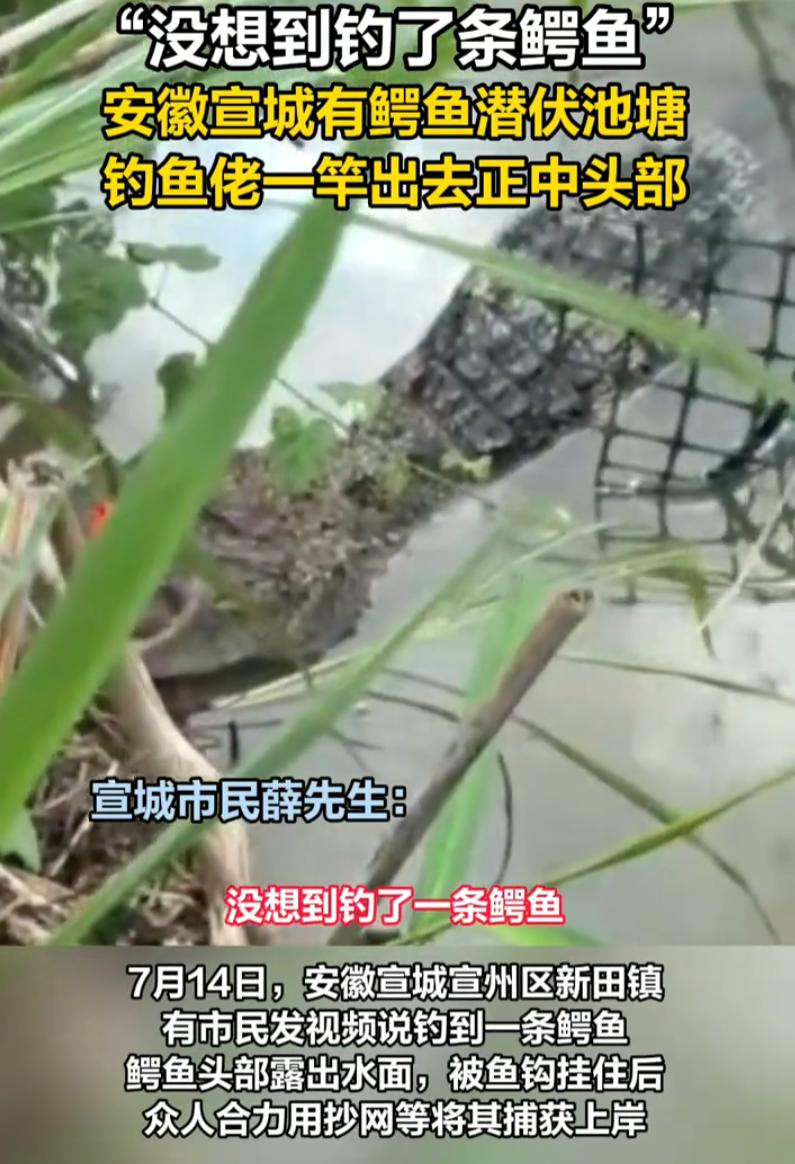 万万没想到！安徽宣城，一男子到河边钓鱼，结果一杆子甩出去，鲫鱼没钓到，反而钓到