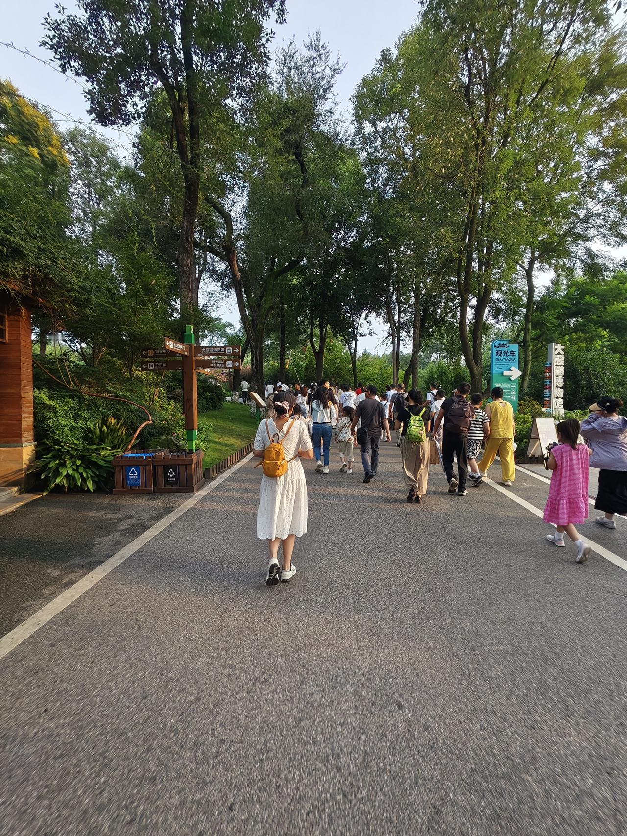 成都38℃的风裹着蝉鸣，把夏天摇成了汽水味的诗已经成为了过去，秋天来了，第一篇落