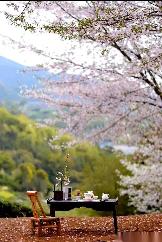 下周一（4月20日）上午9点38分，谷雨节气准时“交棒”。别只把它当成个普通的