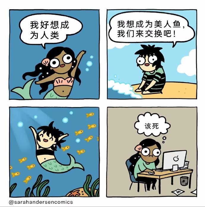 哈哈中计啦​​​​