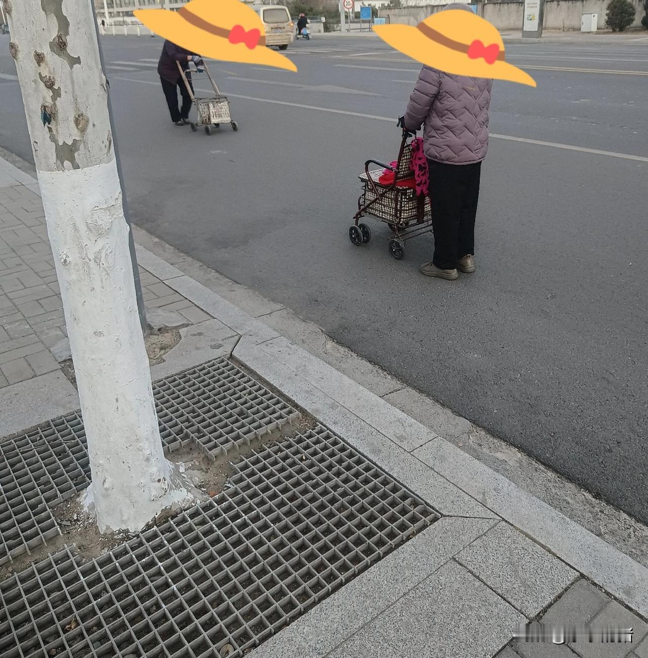 这两个老太太挺神奇的，每天早上溜小狗，我在哪儿都能遇到她们，两个老太太都是脑梗后