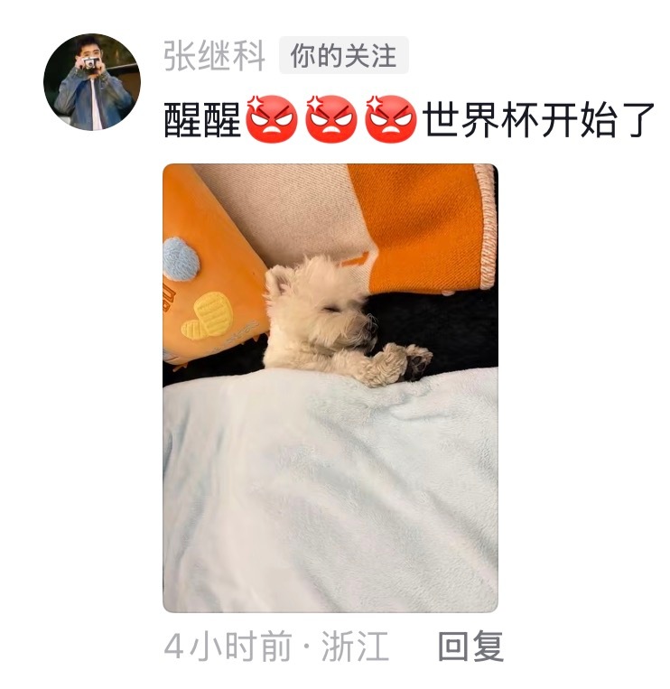 我才看到，就这么宠吗，这位哥，自己的梗都继承给狗儿子了