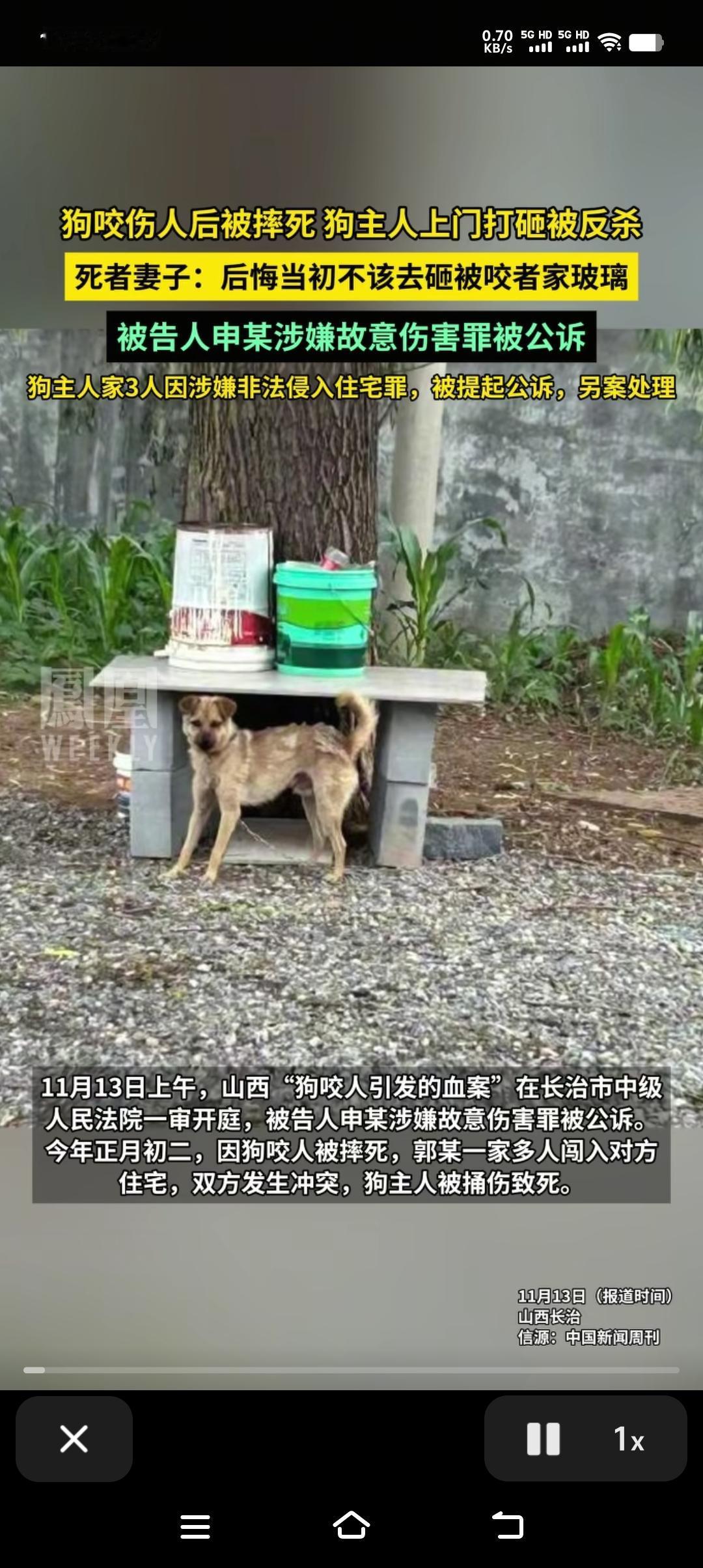 四块空心砖上面盖着块石棉网，紧挨着一棵大树不仅能拴狗，更主要的是正好利用它成了狗