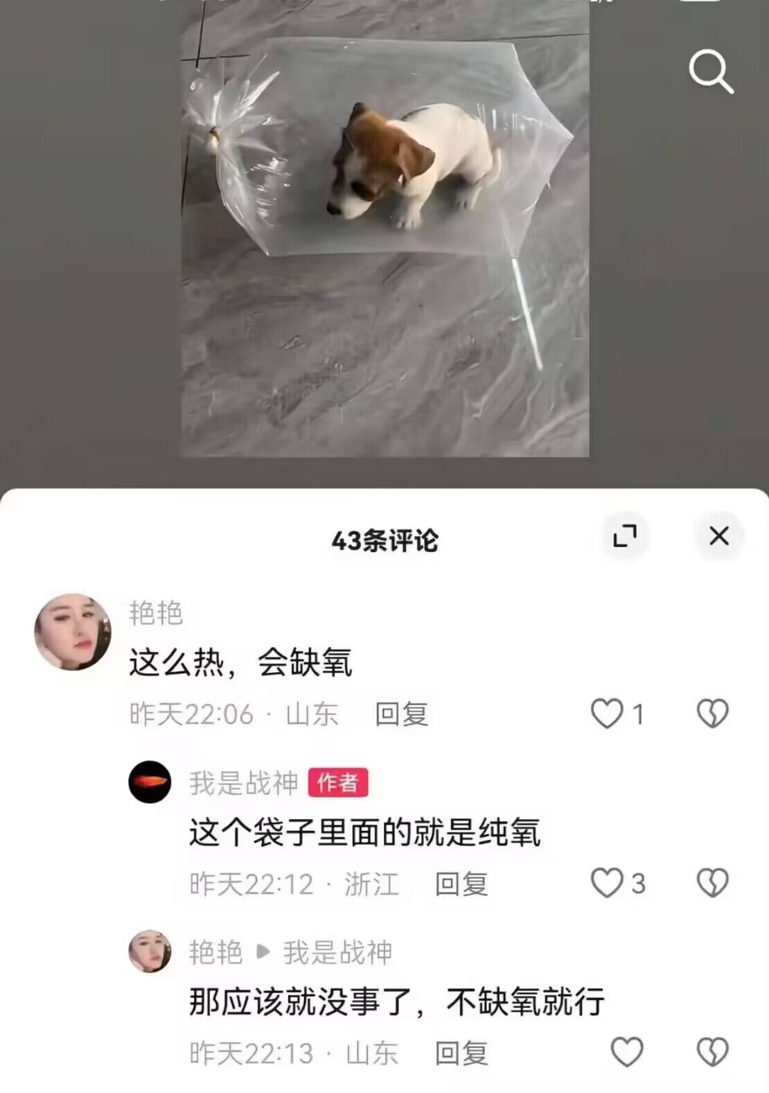这个袋子里面的就是纯氧