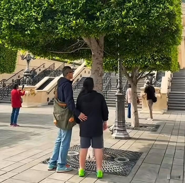 陈震算不算是因祸得福，带家人在澳门跨年！就在刚才，陈震老婆分享了一段他们一家