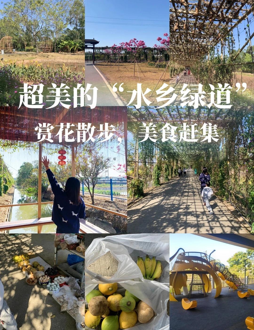 挖到超美的水乡绿道！广州南沙真的超多好玩的地方，我们上周去了一趟南沙，这次没有