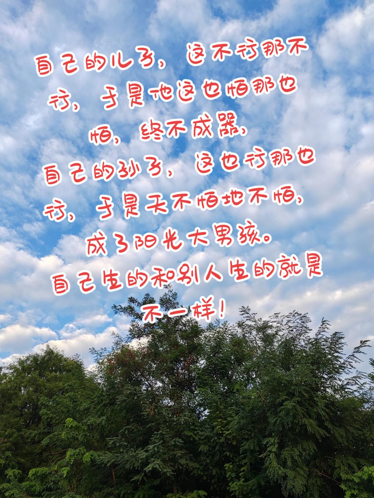 全是大实话！手机摄影原创视频治愈系风景日常分享