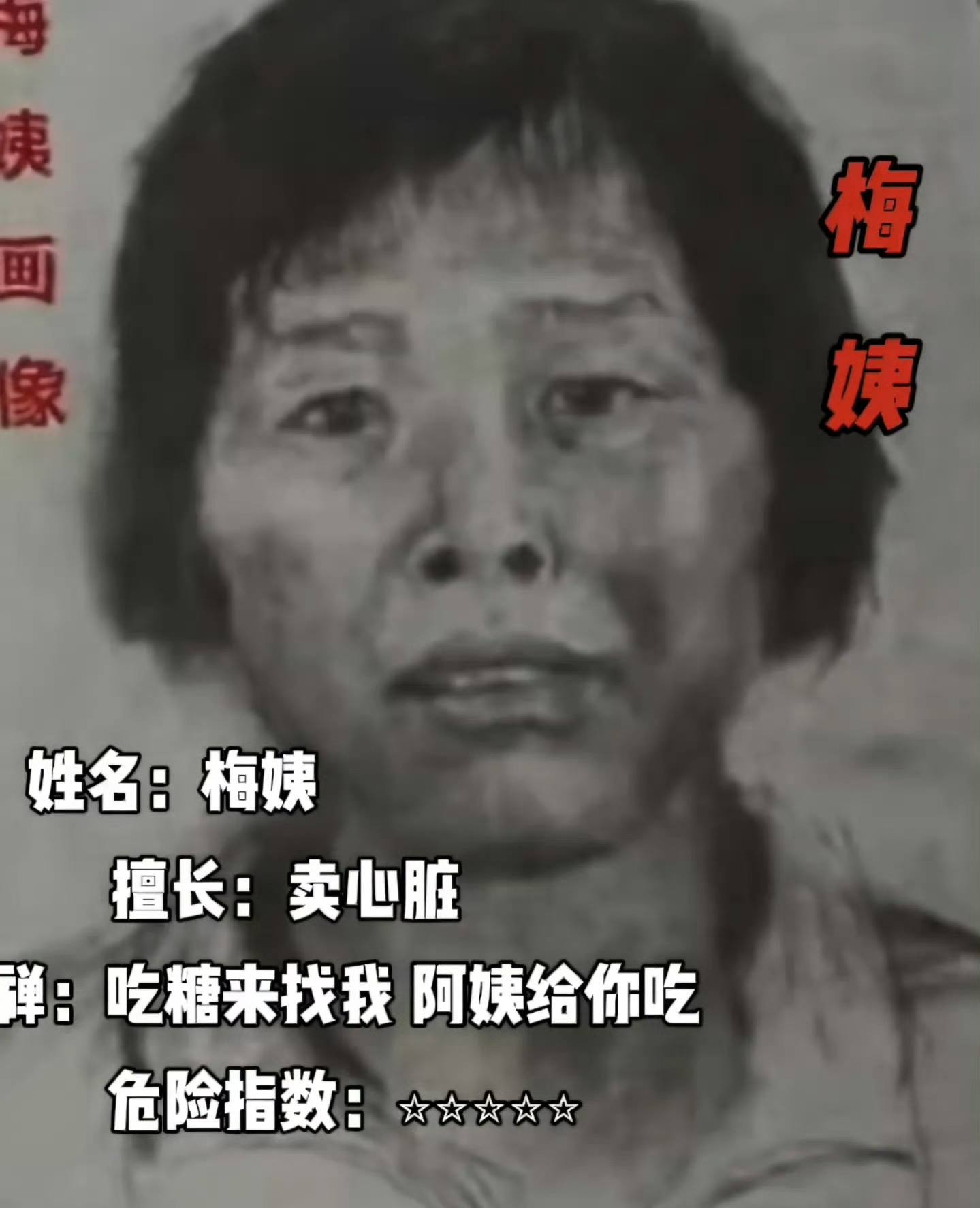 3月21日，反侦察能力极强的“梅姨”被广州警方正式逮捕。据“梅姨同居”男友称，两