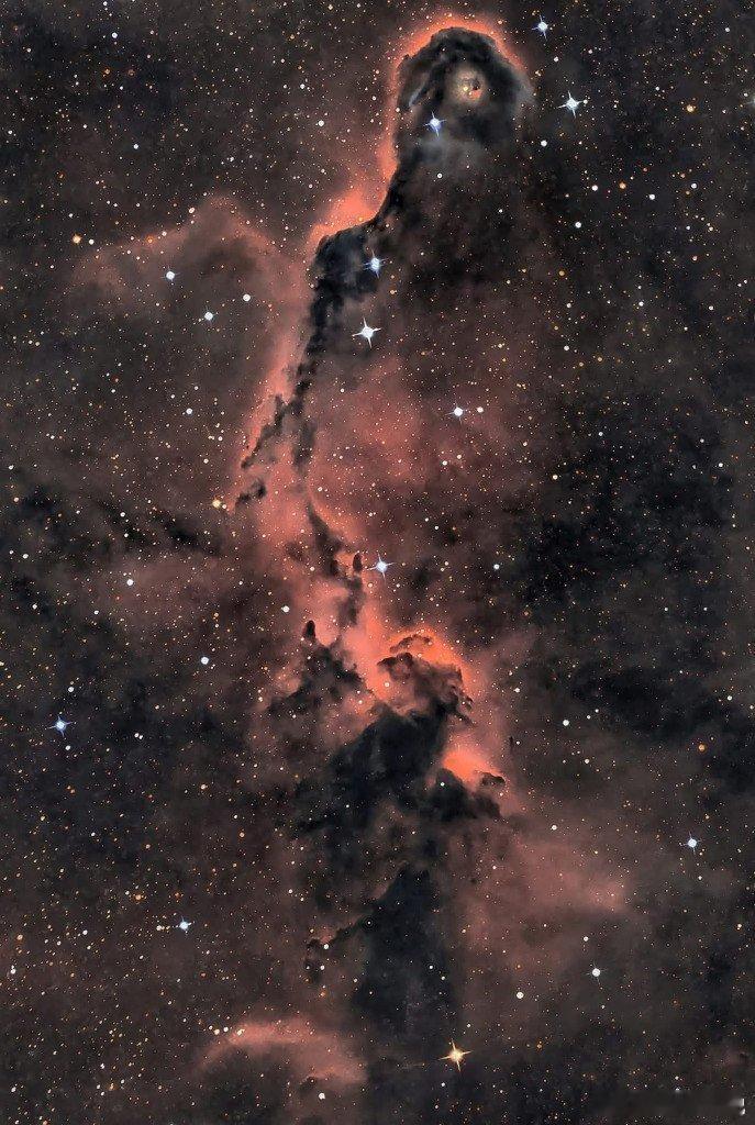 仙王座大象干nebula，这是发射复合体和年轻星团IC1396内的一条黑