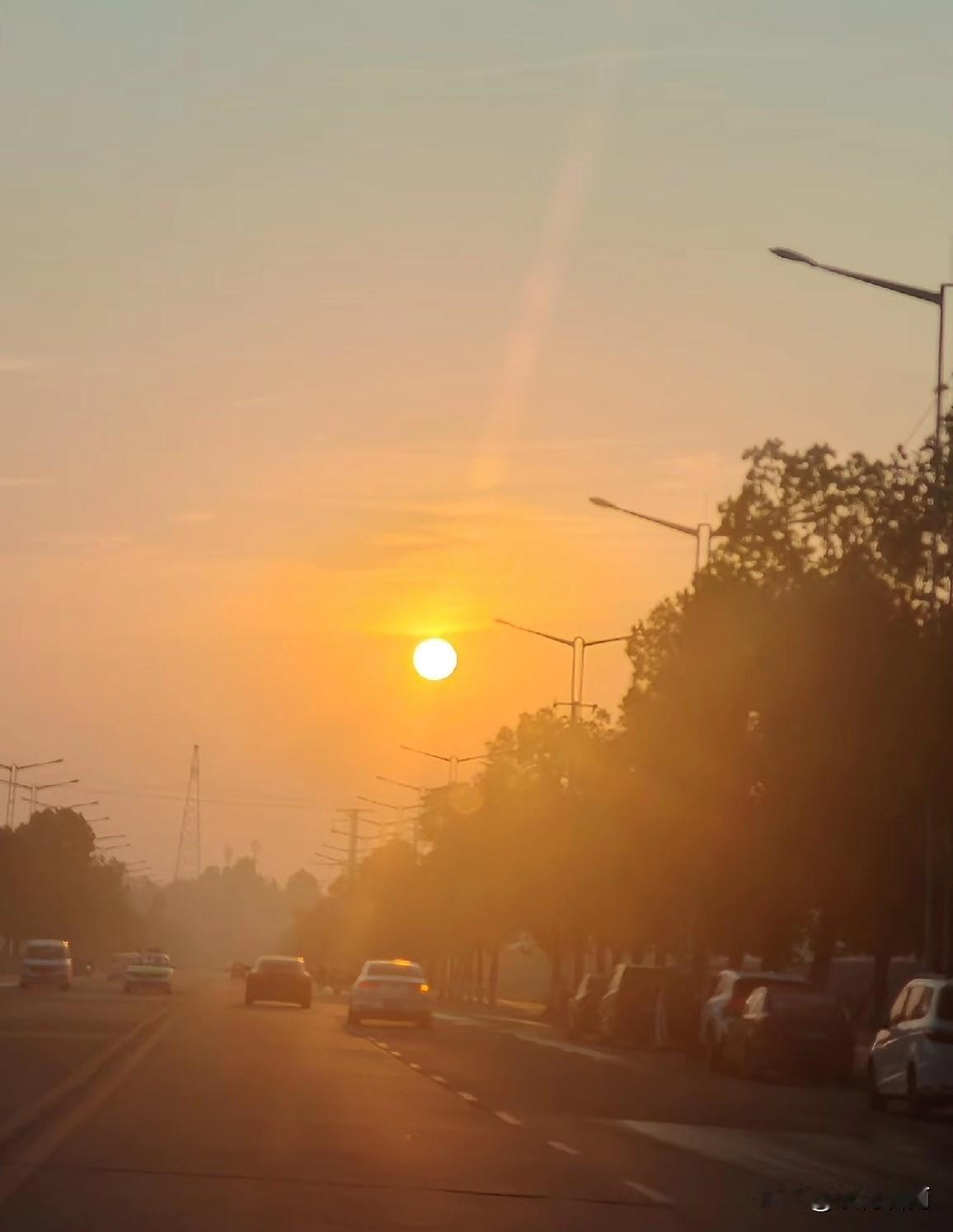 春日养生小常识：顺应春气，早睡早起，春天阳气生发，建议早睡早起，保持充足睡眠
