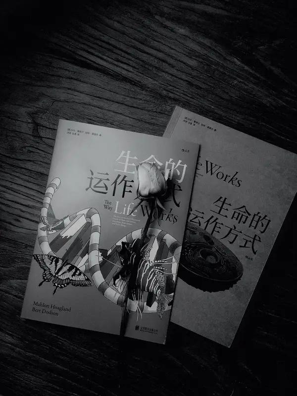 生命的本质是什么？这是个深奥的问题，没有唯一答案。从科学角度看，生命是逆熵、自