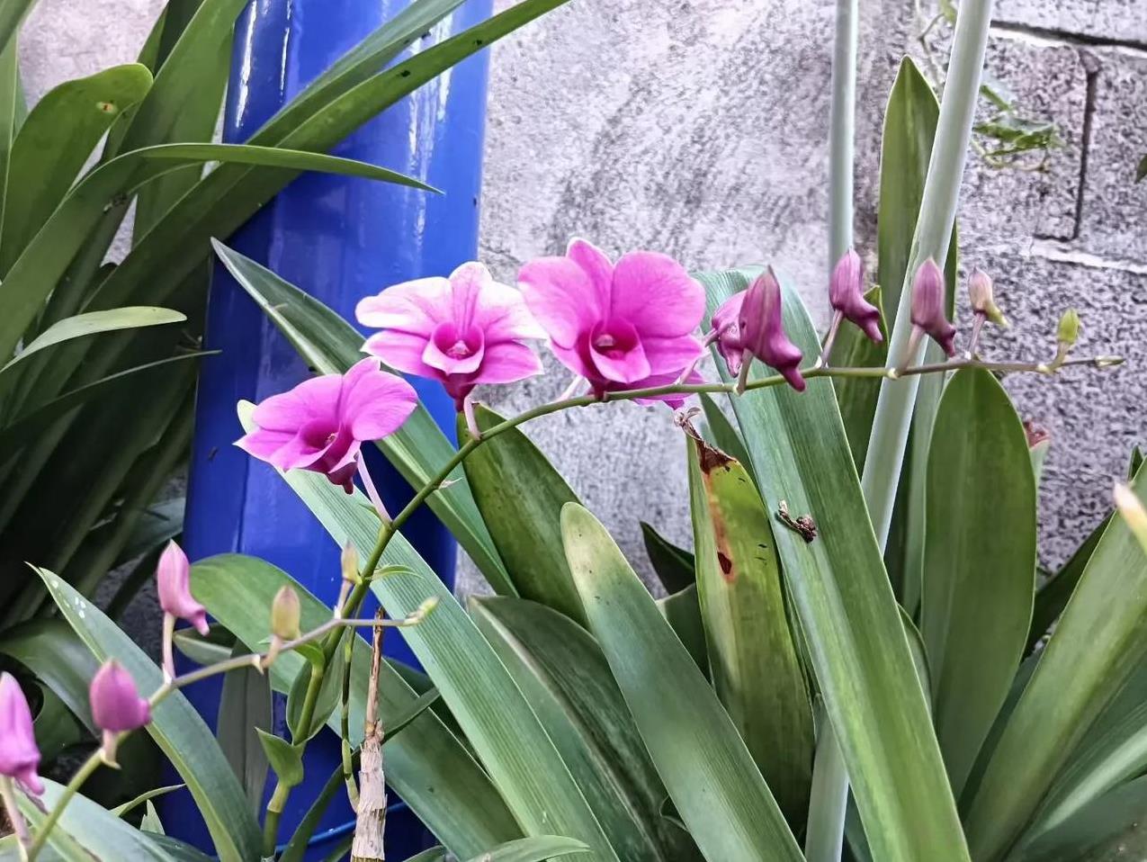 打算在弥勒长住一段时间，对住宿有点小要求，实在挑花眼了，恳请有经验的朋友指点：