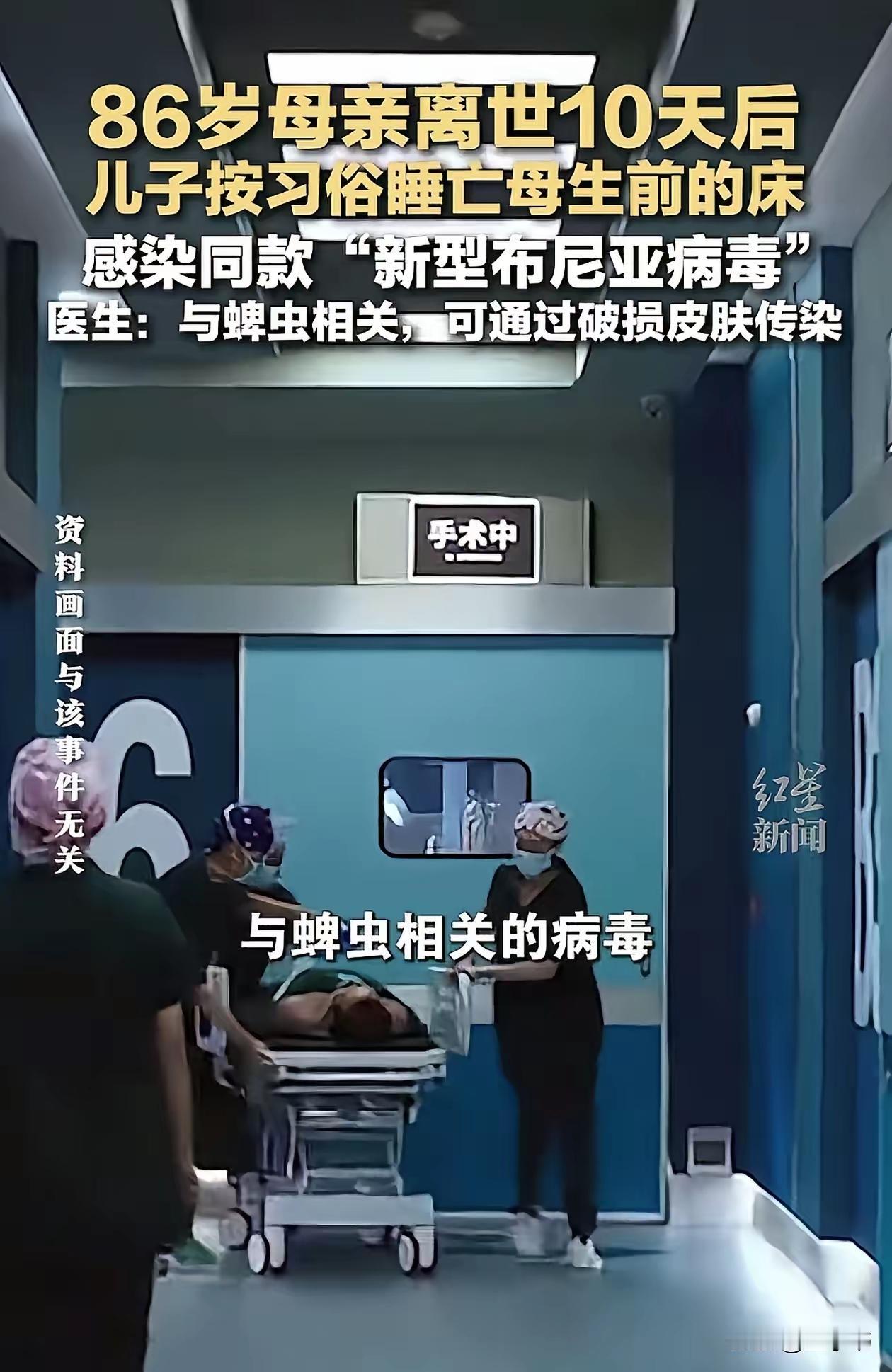 母亲去世后，儿子居然睡了她的旧床，还染上和母亲一模一样的病毒？这事儿想想都让人揪