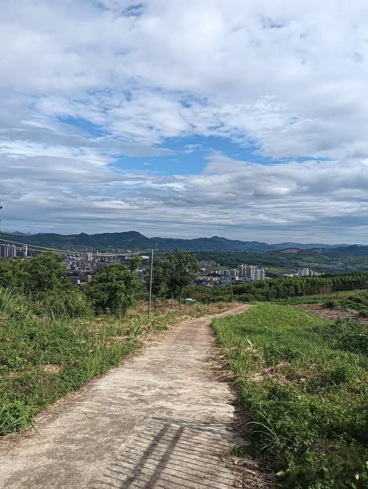 暑假了，我发现了一个很奇怪的现象，小区里的小孩越来越少了，以为是回老家了，结果去