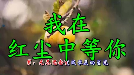 红尘中等你曲谱_我在红尘中等你的图片(3)