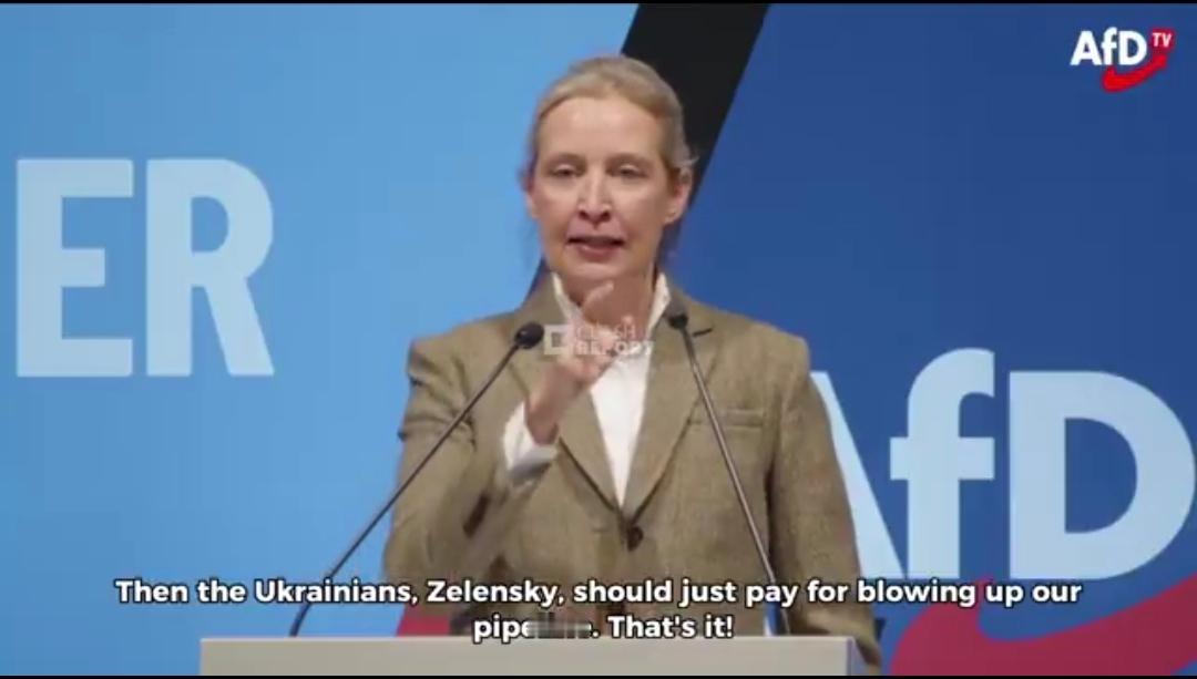 德国政坛炸了锅！1月25日，爱丽丝·魏德尔——那位以敢说敢言著称的德国选择党女大