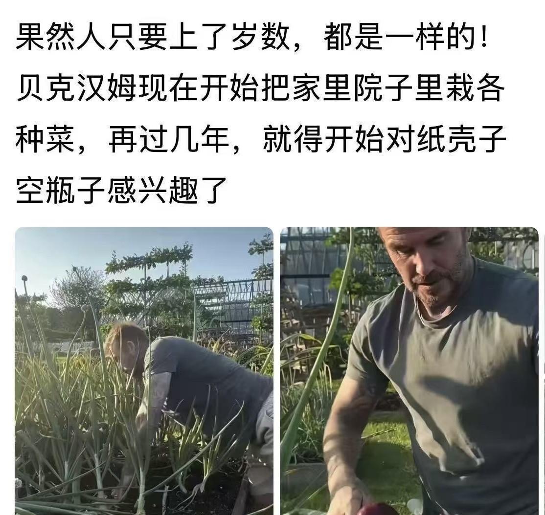 原来人都一样，不管是中国人还是外国人。你看贝克汉姆，也开始在家里找块地种菜了[泪