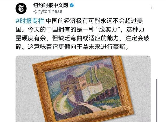 美媒出来给我们泼冷水了！5月13日，《纽约时报》刊登了一篇评论文章，核心观点很直